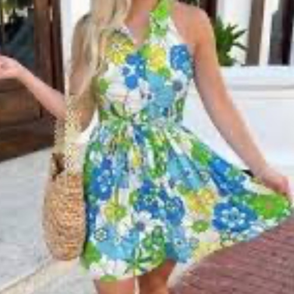 New Aura Sleeveless Dress Swiss Dots Collar 70’s Floral with Belt Large